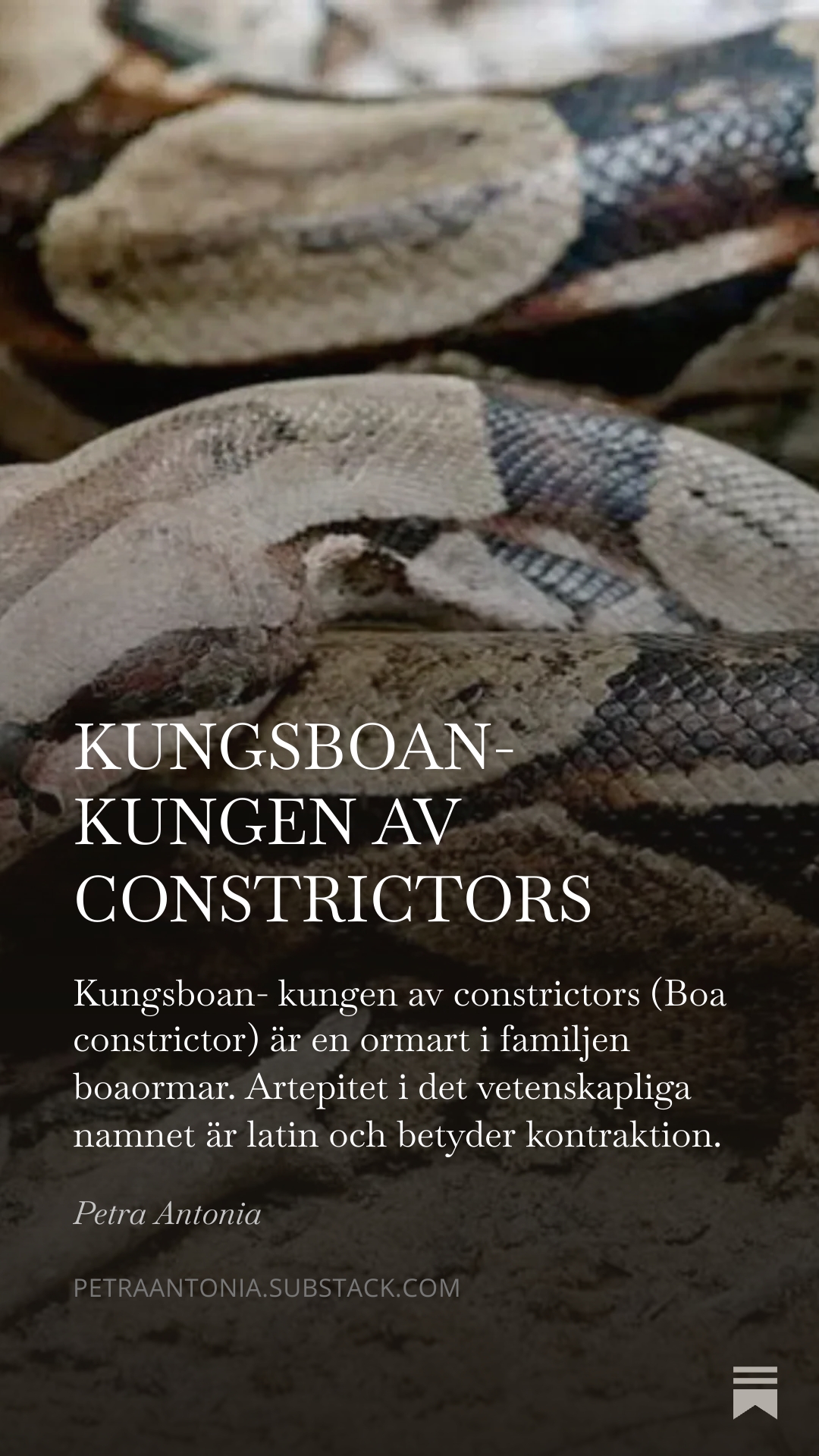 Prenumerering